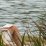 retiring overseas on an Australian pension